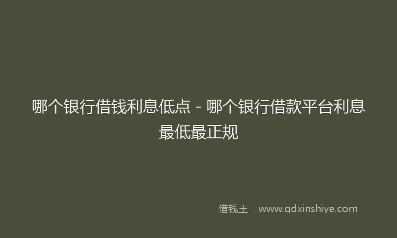 哪个银行借钱利息低点 - 哪个银行借款平台利息最低最正规
