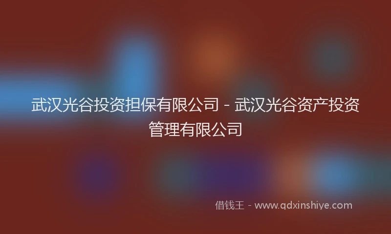武汉光谷投资担保有限公司 - 武汉光谷资产投资管理有限公司