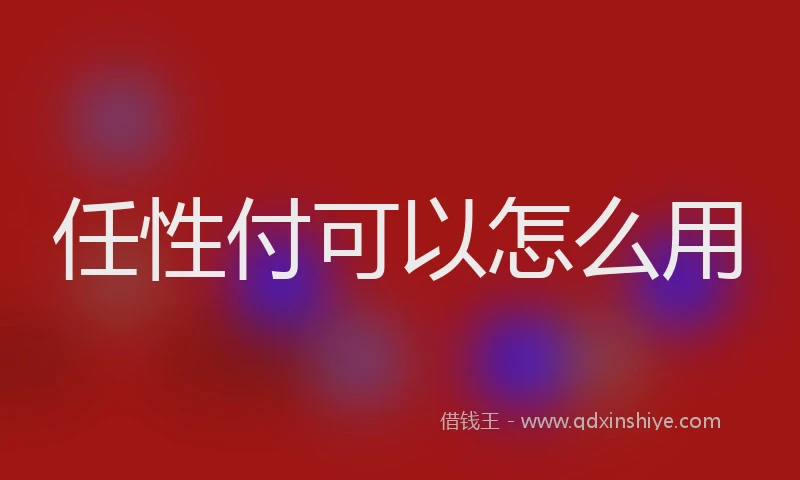 任性付可以怎么用