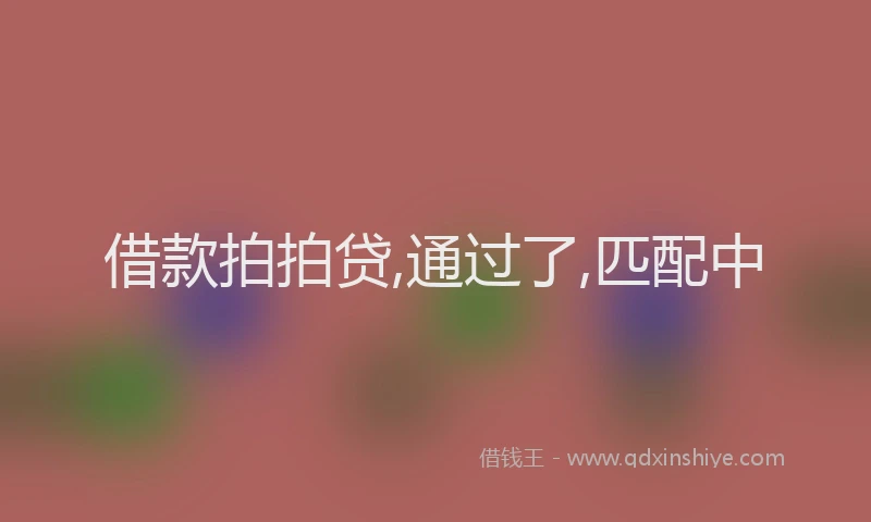 借款拍拍贷,通过了,匹配中