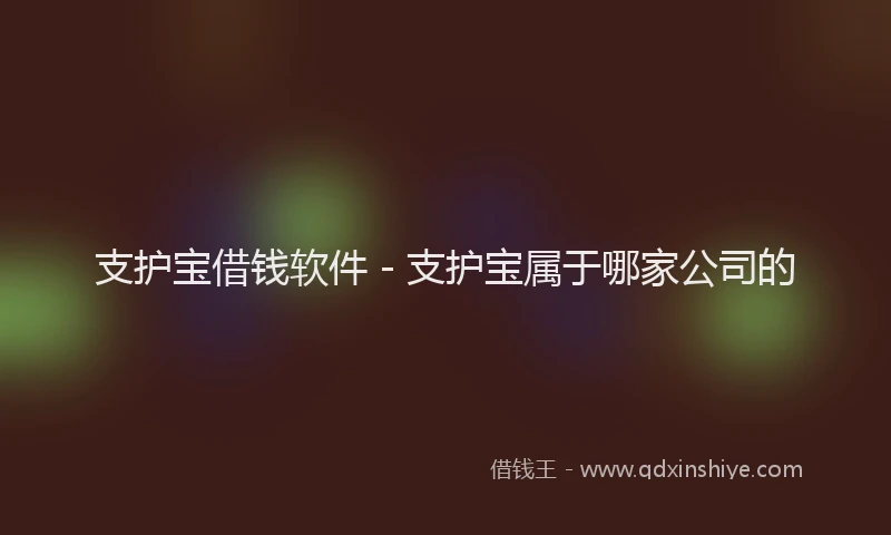 支护宝借钱软件 - 支护宝属于哪家公司的