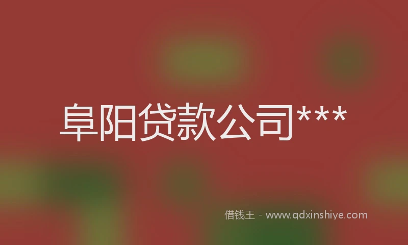 阜阳贷款公司***