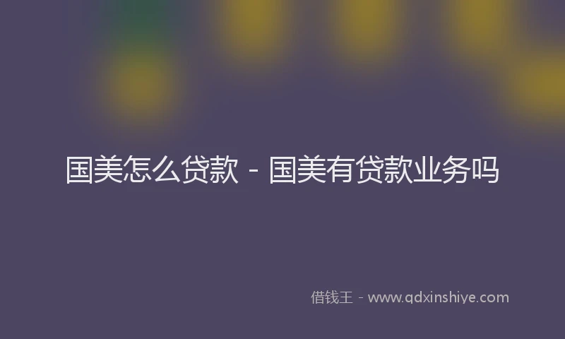 国美怎么贷款 - 国美有贷款业务吗