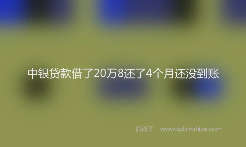 中银贷款借了20万8还了4个月还没到账