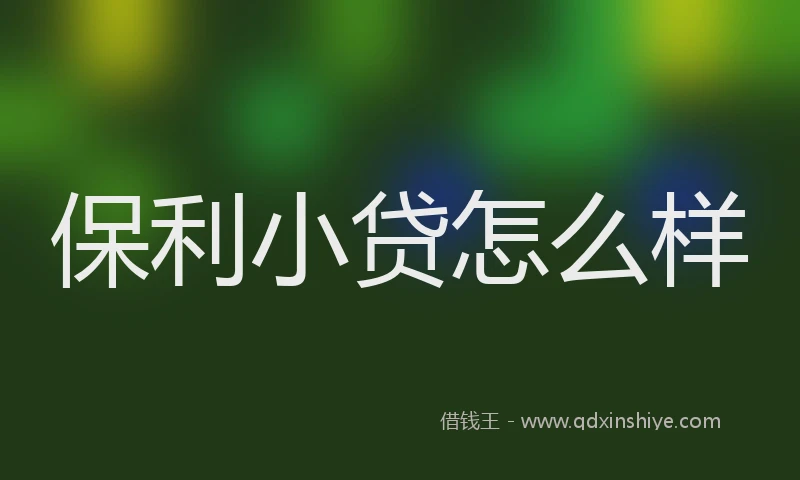 保利小贷怎么样
