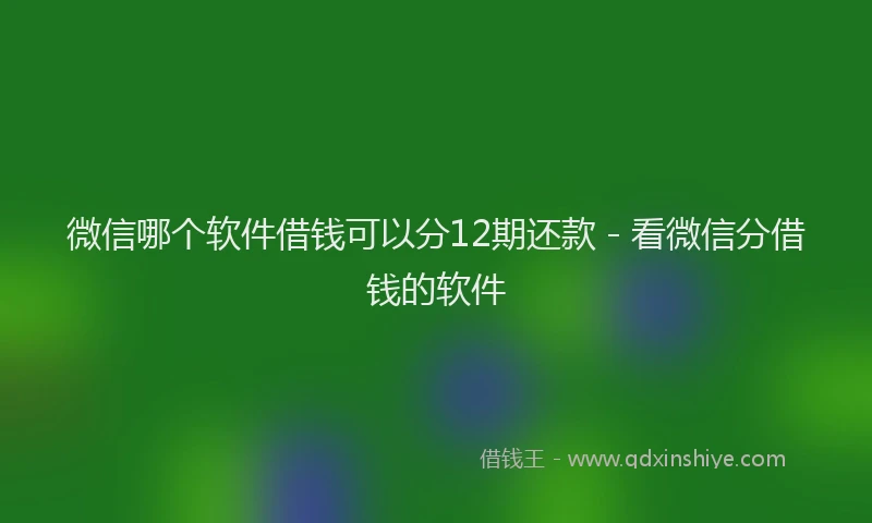 微信哪个软件借钱可以分12期还款 - 看微信分借钱的软件