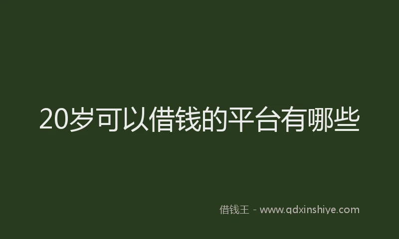 20岁可以借钱的平台有哪些