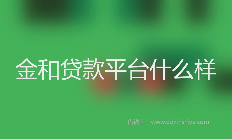 金和贷款平台什么样