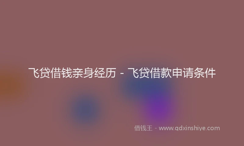 飞贷借钱亲身经历 - 飞贷借款申请条件