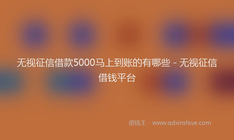 无视征信借款5000马上到账的有哪些 - 无视征信借钱平台