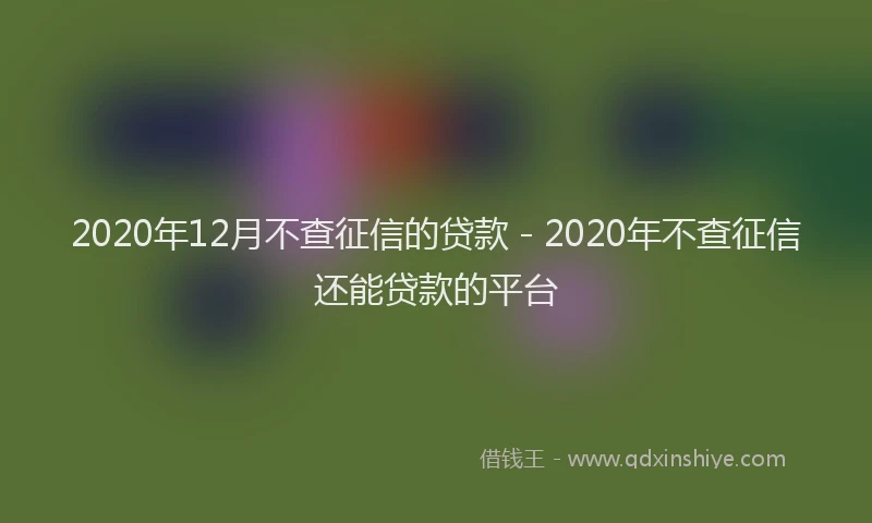 2020年12月不查征信的贷款 - 2020年不查征信还能贷款的平台