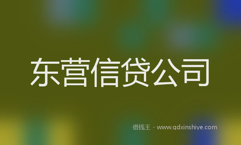 东营信贷公司