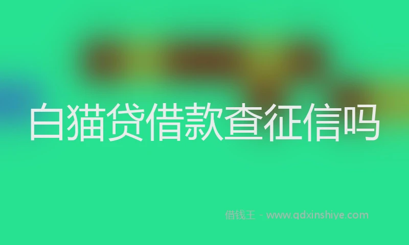 白猫贷借款查征信吗