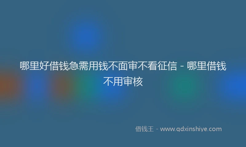哪里好借钱急需用钱不面审不看征信 - 哪里借钱不用审核