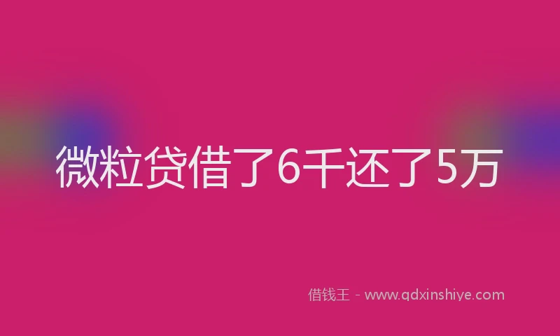 微粒贷借了6千还了5万