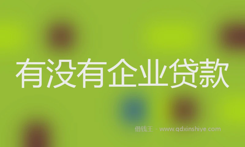 有没有企业贷款