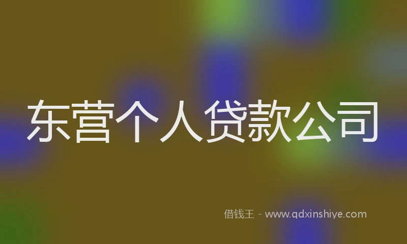 东营个人贷款公司