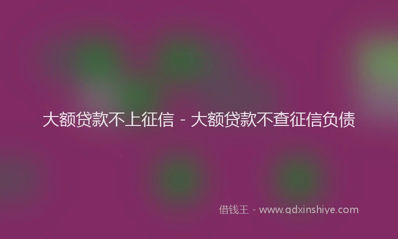 大额贷款不上征信 - 大额贷款不查征信负债