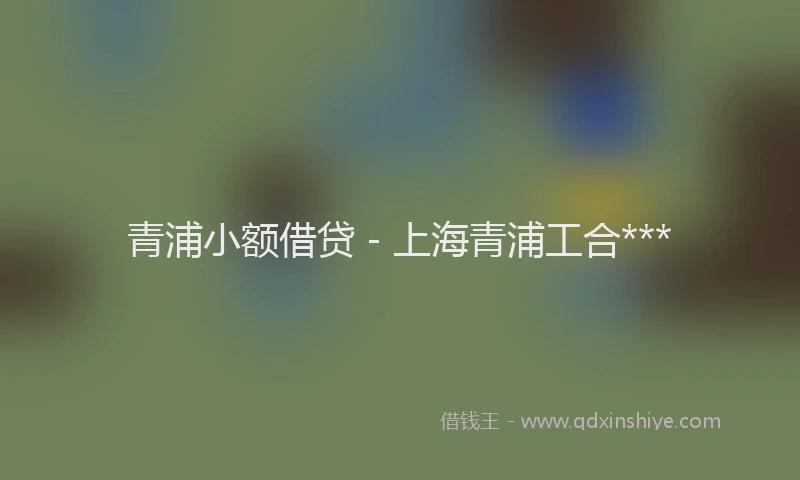 青浦小额借贷 - 上海青浦工合***