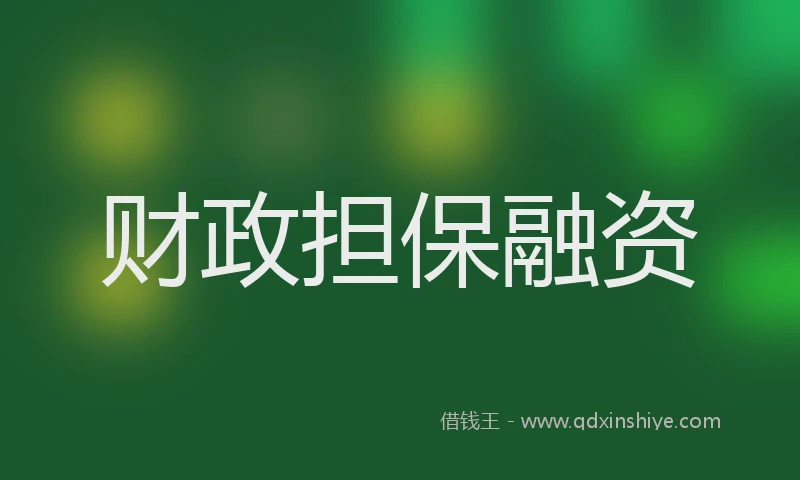 财政担保融资