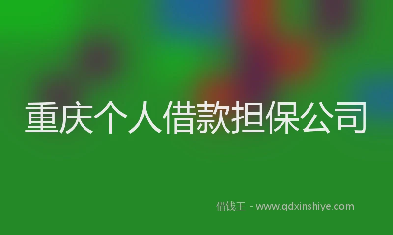 重庆个人借款担保公司