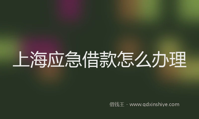 上海应急借款怎么办理