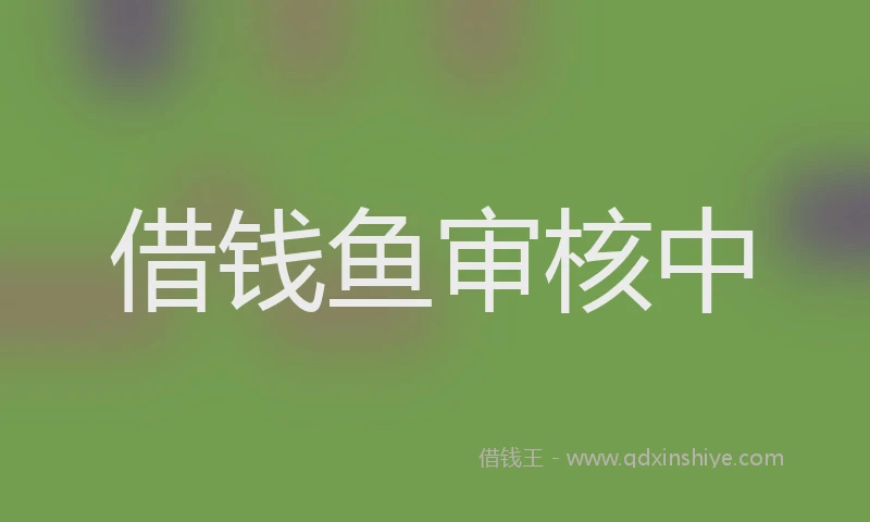借钱鱼审核中