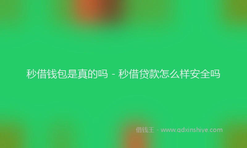 秒借钱包是真的吗 - 秒借贷款怎么样安全吗
