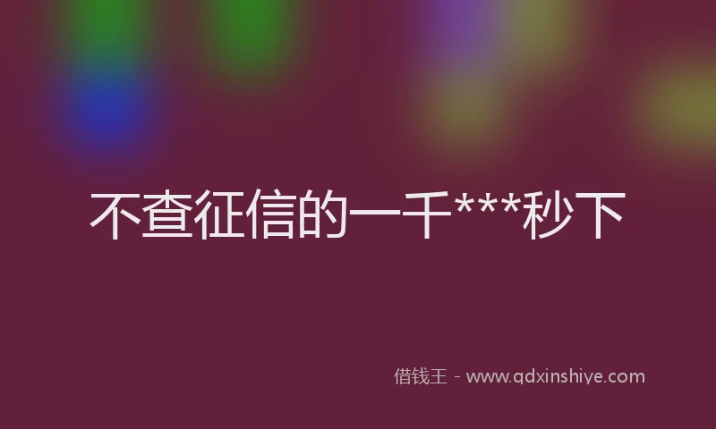 不查征信的一千***秒下