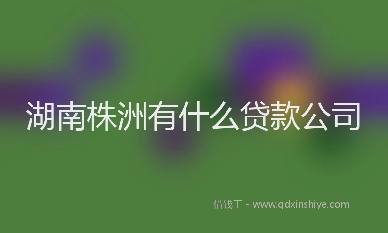 湖南株洲有什么贷款公司