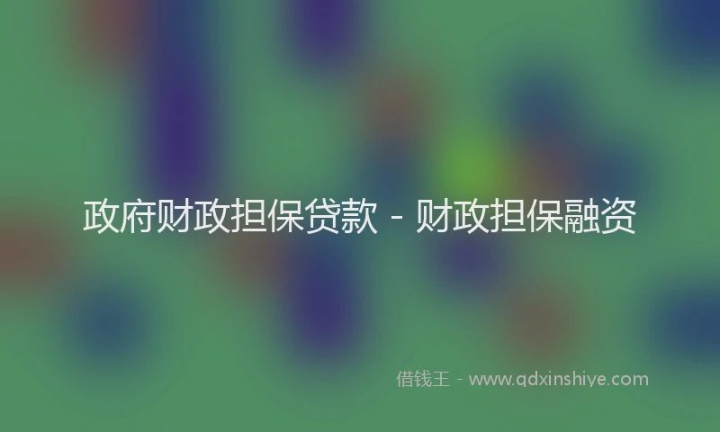 政府财政担保贷款 - 财政担保融资