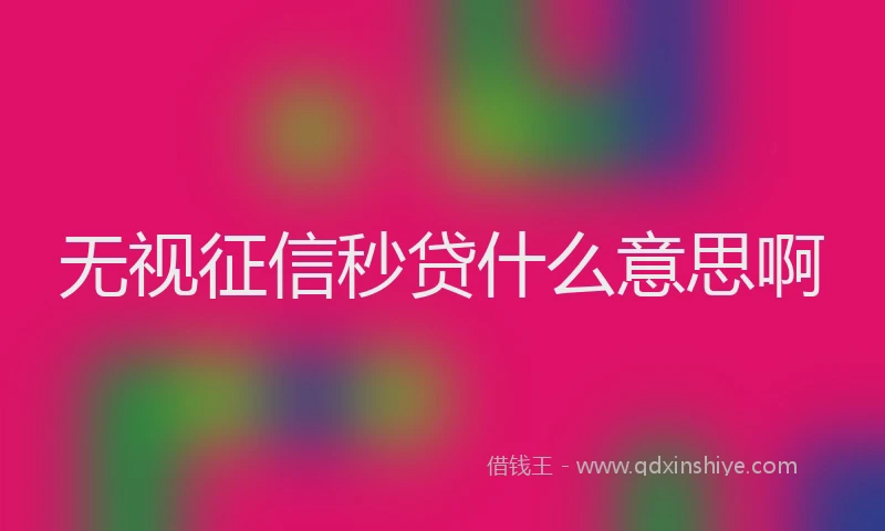 无视征信秒贷什么意思啊