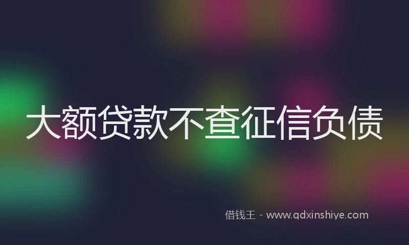 大额贷款不查征信负债