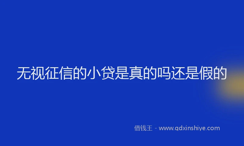 无视征信的小贷是真的吗还是假的