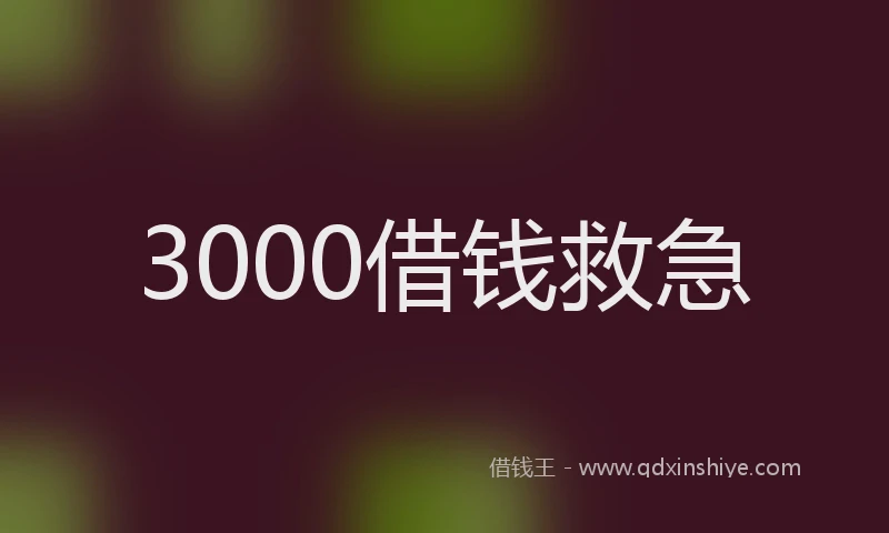 3000借钱救急