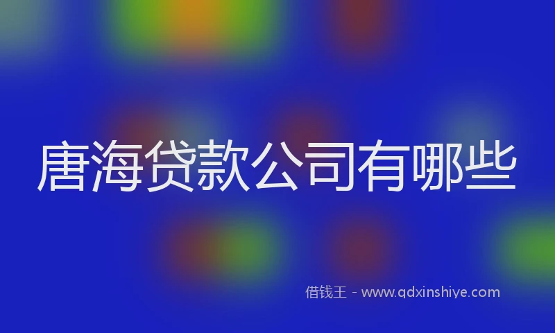 唐海贷款公司有哪些