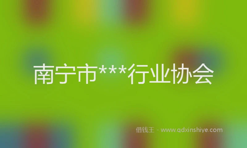南宁市***行业协会
