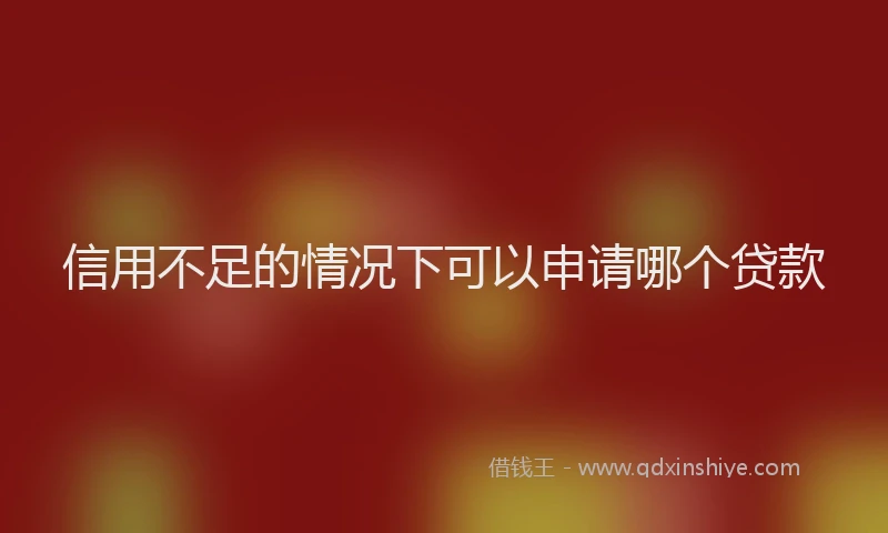 信用不足的情况下可以申请哪个贷款