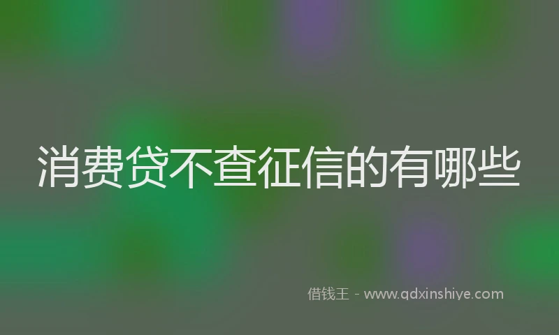 消费贷不查征信的有哪些