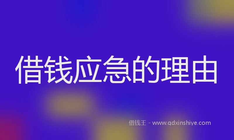 借钱应急的理由