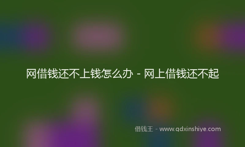 网借钱还不上钱怎么办 - 网上借钱还不起