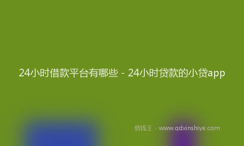 24小时借款平台有哪些 - 24小时贷款的小贷app