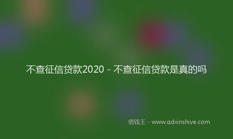 不查征信贷款2020 - 不查征信贷款是真的吗