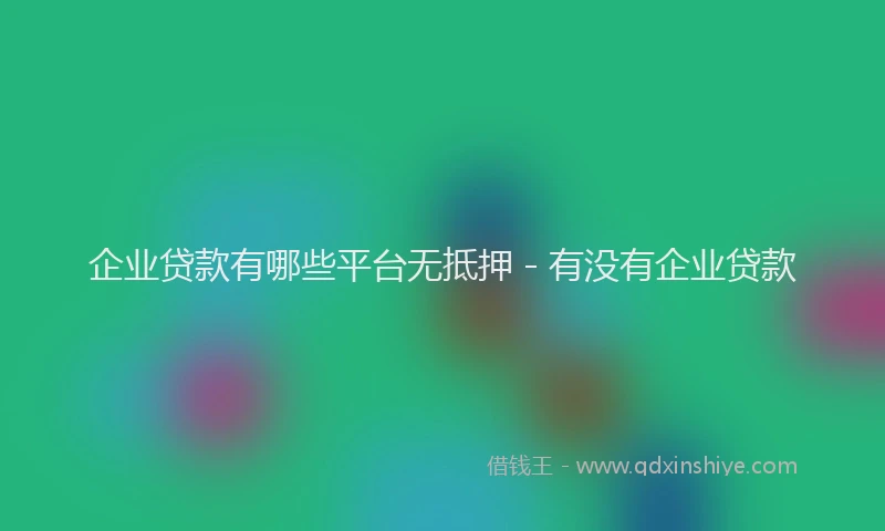 企业贷款有哪些平台无抵押 - 有没有企业贷款
