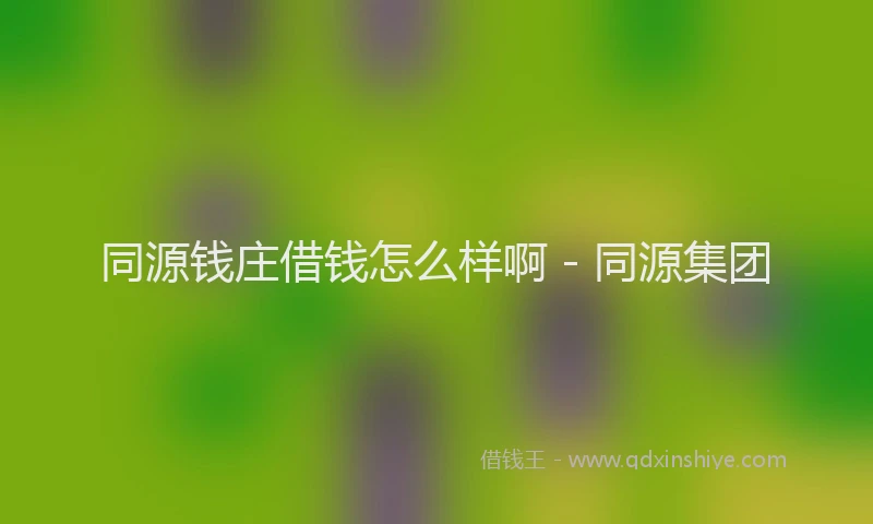 同源钱庄借钱怎么样啊 - 同源集团