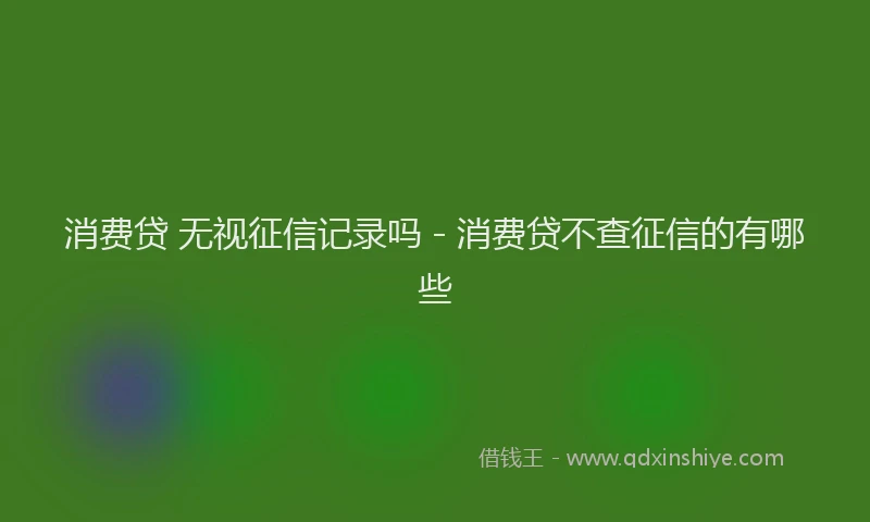 消费贷 无视征信记录吗 - 消费贷不查征信的有哪些