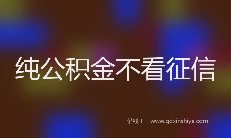 纯公积金不看征信