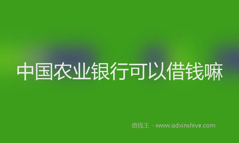 中国农业银行可以借钱嘛