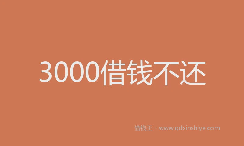 3000借钱不还