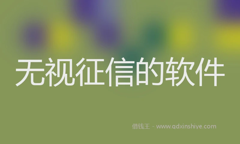 无视征信的软件